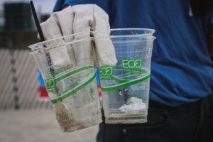 Image Greenwashing écoblanchiment verdissement