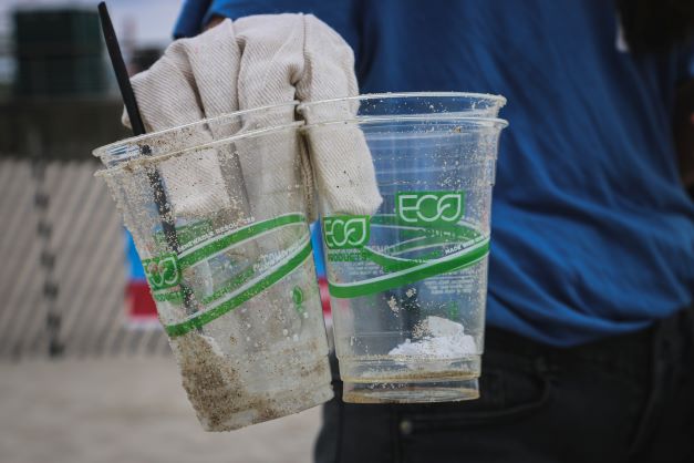 Image Greenwashing écoblanchiment verdissement