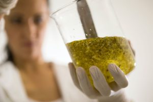 Analyse de la composition des cosmétiques dans un bescher