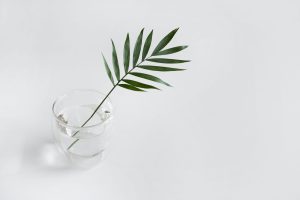 Stratégie de communication pour produits cosmétiques  : Comment engager son entreprise