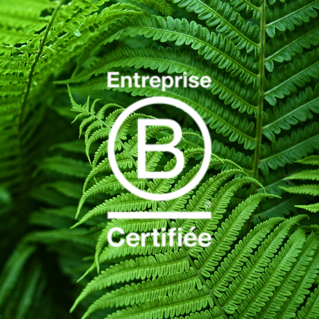 Certification B Corp : label des entreprises à impact positif 4 Certification B Corp : label des entreprises à impact positif