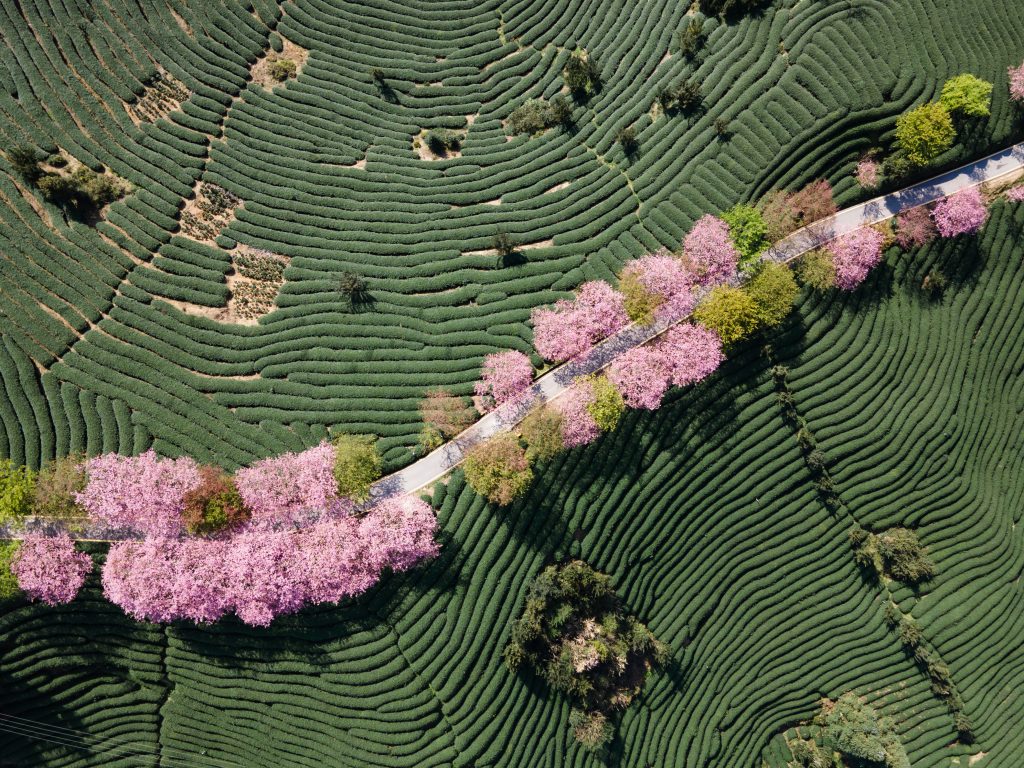 Ecodesign and LCA for food industry 1 From cooperatives to startups, SMEs and global groups — our clients share the same ambition:reducing their product footprint, staying competitive, and contributing to the country’s food sovereignty. 1