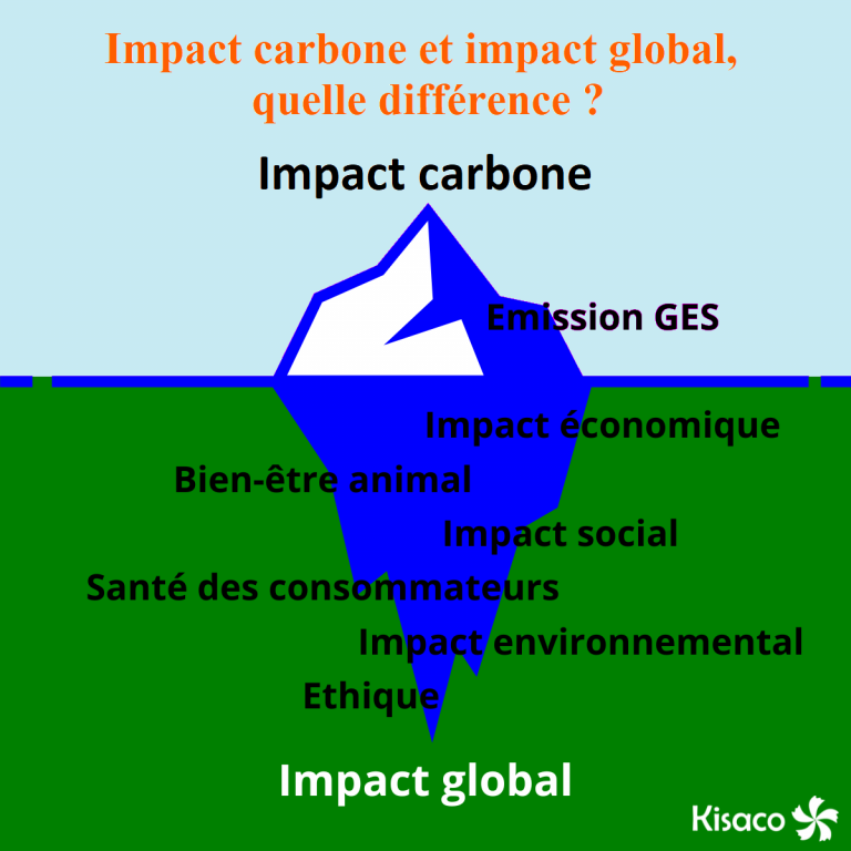 Impact carbone ou impact global quelle différence